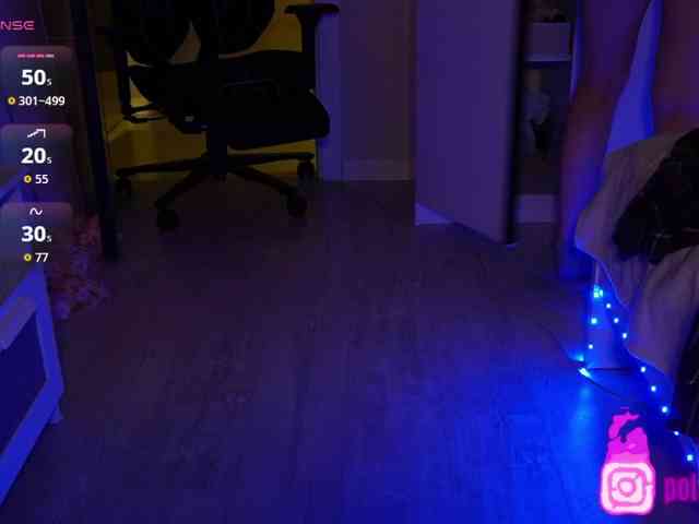 pollymorph webcam