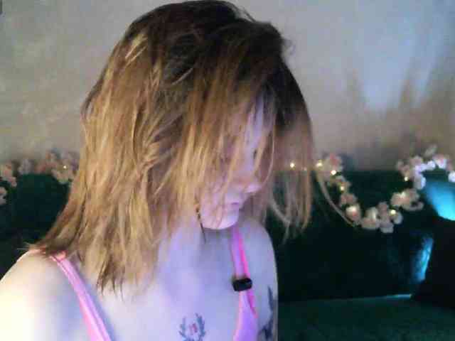 pollymorph webcam