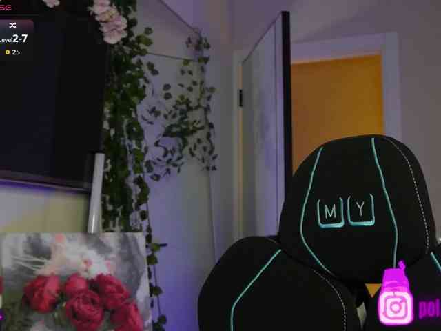 pollymorph webcam