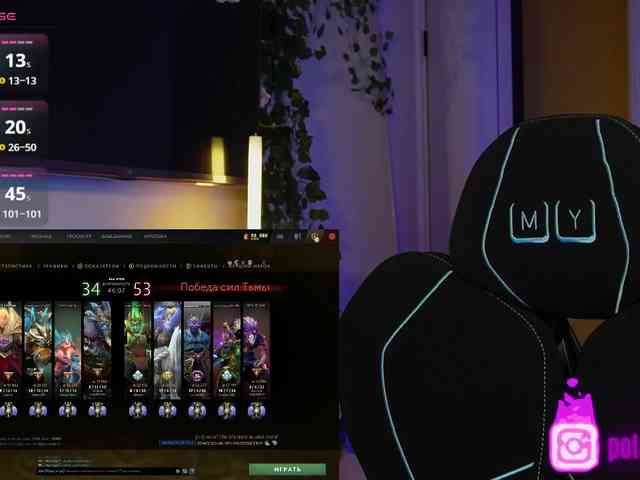 pollymorph webcam