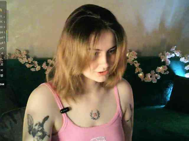 pollymorph webcam