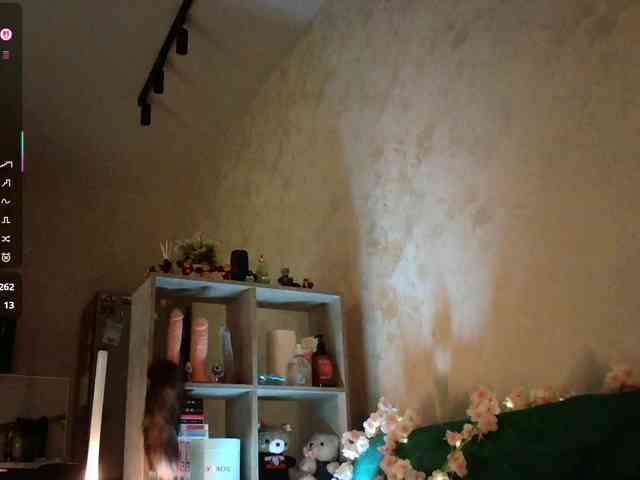 pollymorph webcam