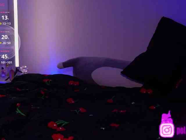 pollymorph webcam