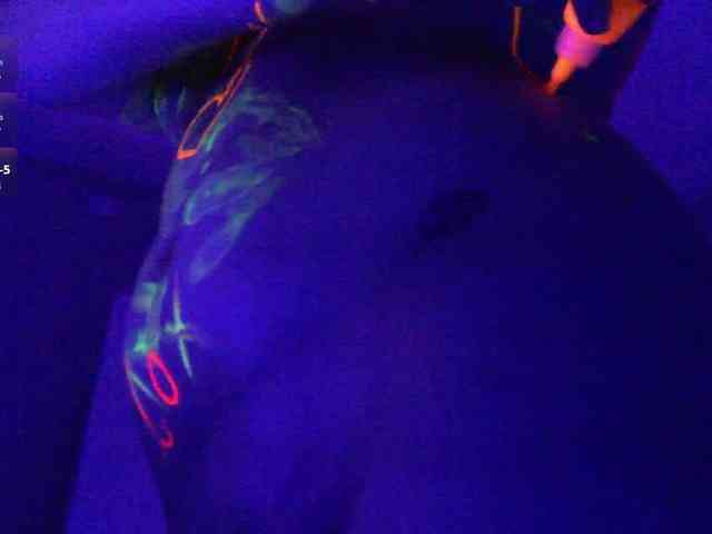 pollymorph webcam