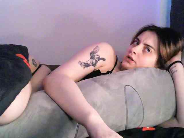 pollymorph webcam