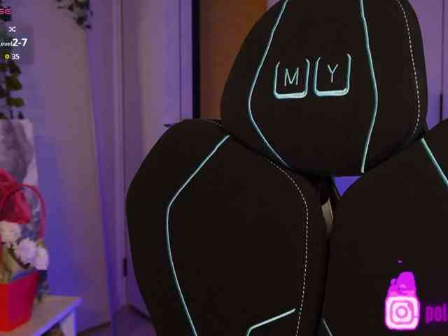 pollymorph webcam
