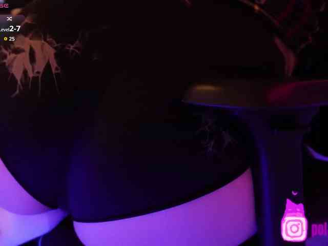 pollymorph webcam
