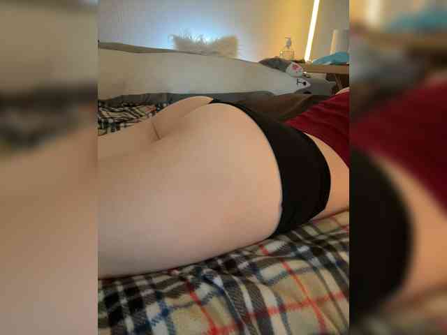 pollymorph webcam
