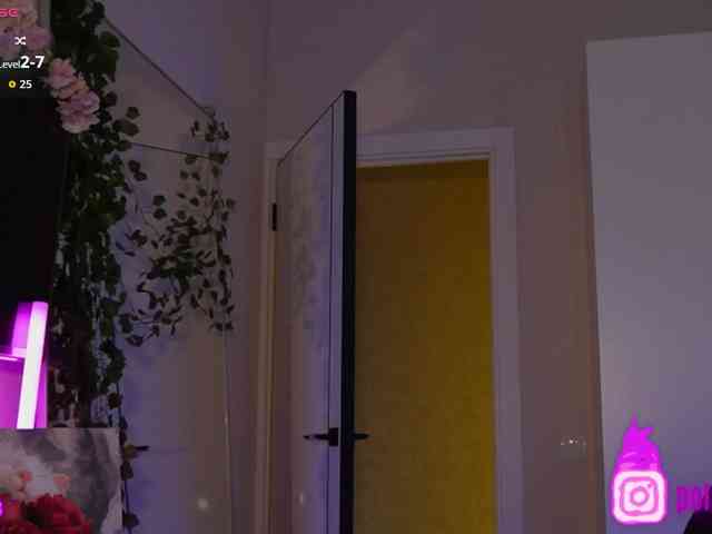 pollymorph webcam