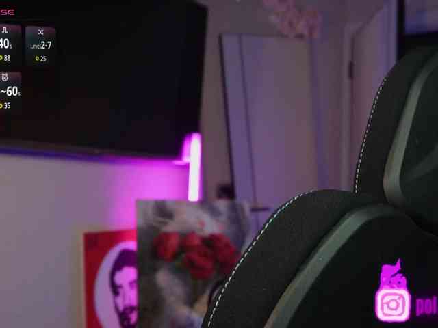 pollymorph webcam