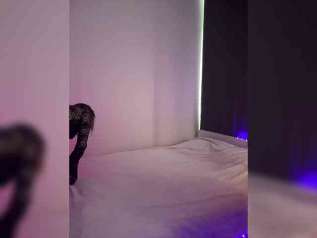 pollymorph webcam
