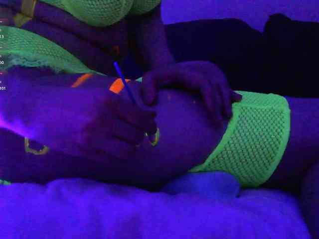 pollymorph webcam