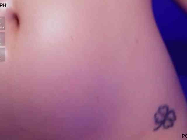pollymorph webcam