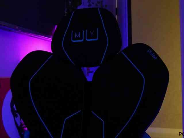 pollymorph webcam