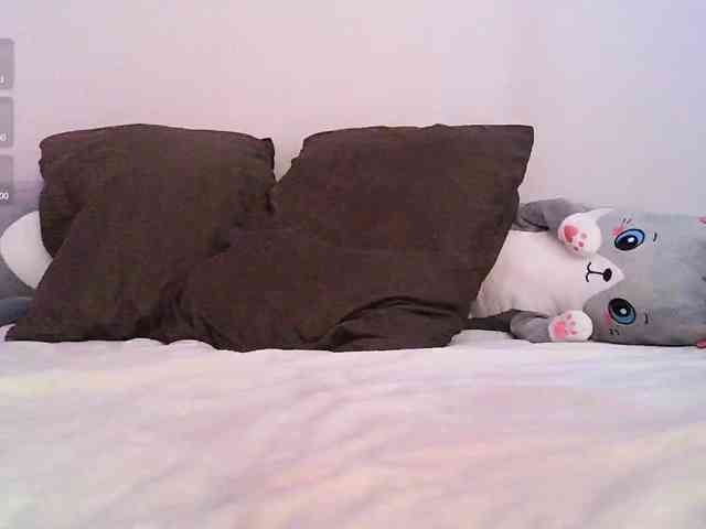 pollymorph webcam