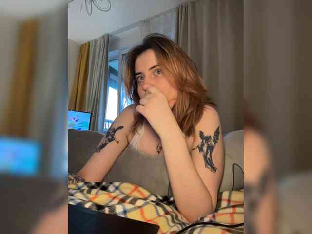 pollymorph webcam