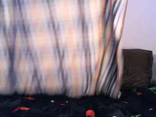 pollymorph webcam