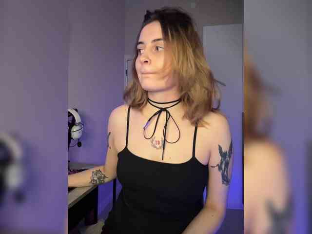 pollymorph webcam