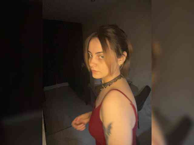 pollymorph webcam