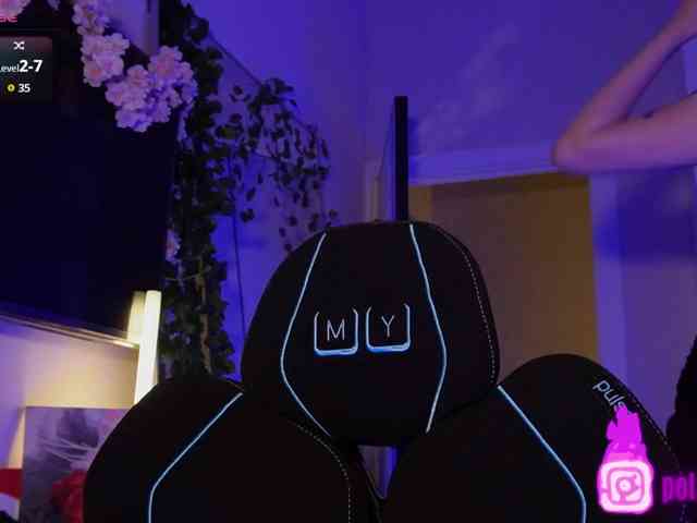 pollymorph webcam