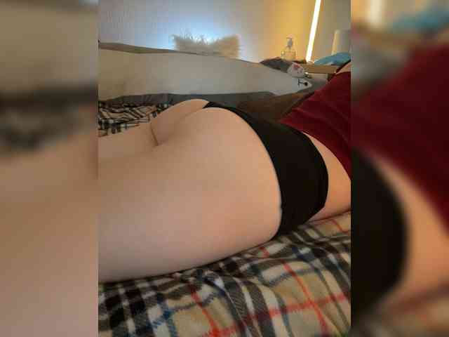 pollymorph webcam
