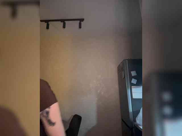 pollymorph webcam