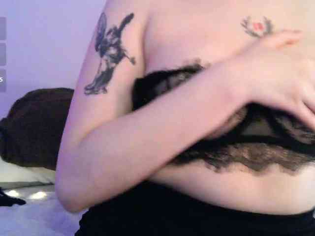 pollymorph webcam