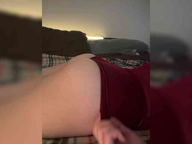 pollymorph webcam