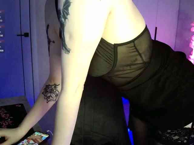 pollymorph webcam