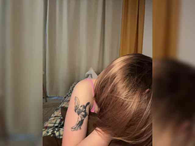 pollymorph webcam