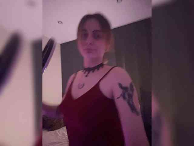 pollymorph webcam