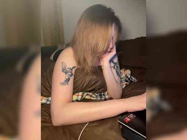 pollymorph webcam