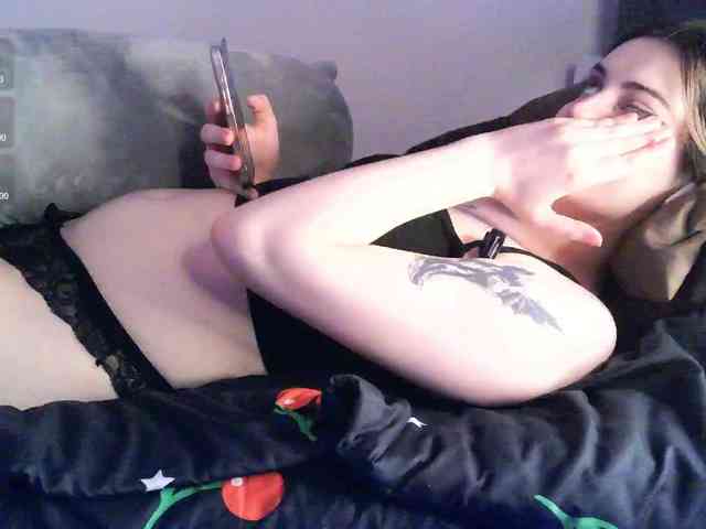 pollymorph webcam