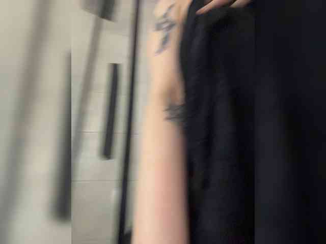 pollymorph webcam