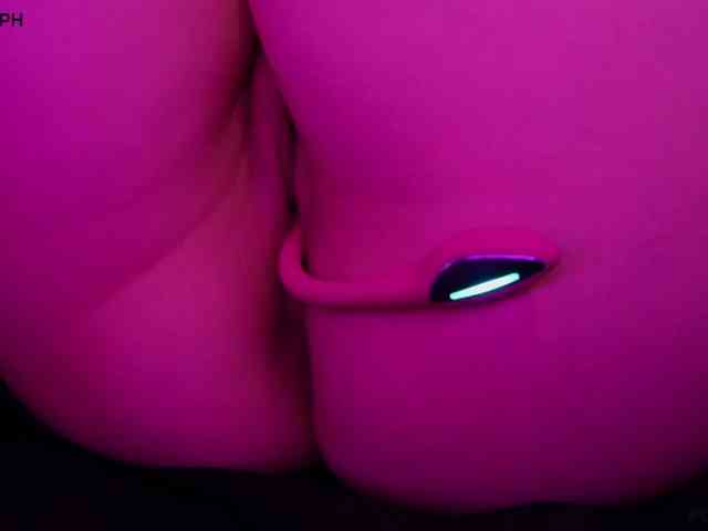 pollymorph webcam