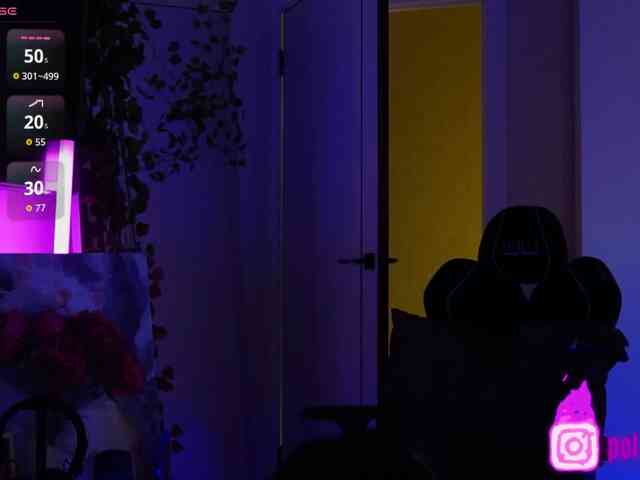 pollymorph webcam