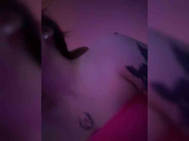 pollymorph webcam