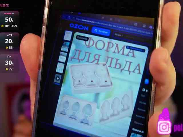 pollymorph webcam