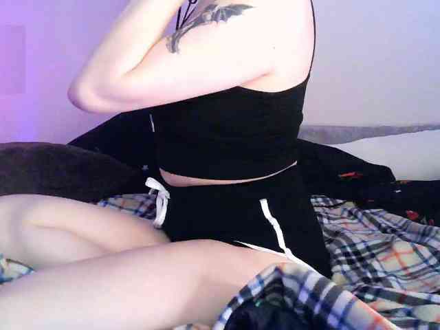 pollymorph webcam