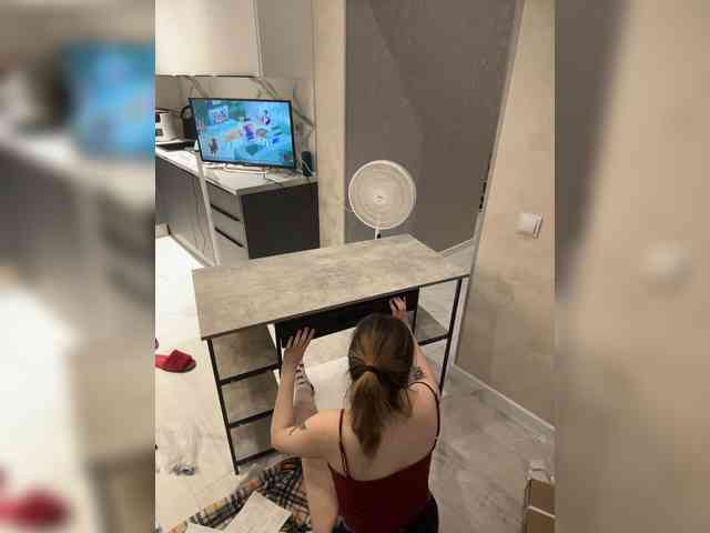 pollymorph webcam