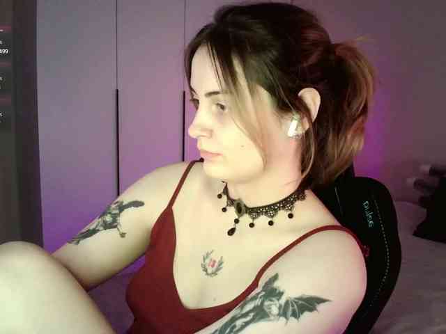 pollymorph webcam