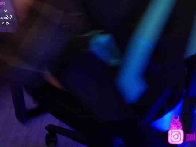 pollymorph webcam