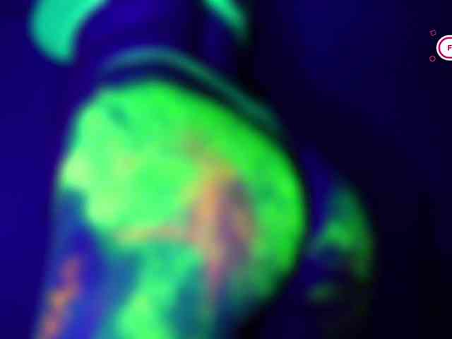 pollymorph webcam