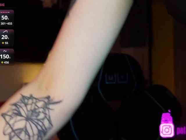 pollymorph webcam