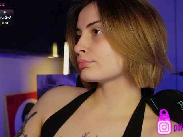 pollymorph webcam