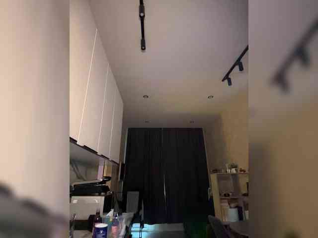 pollymorph webcam