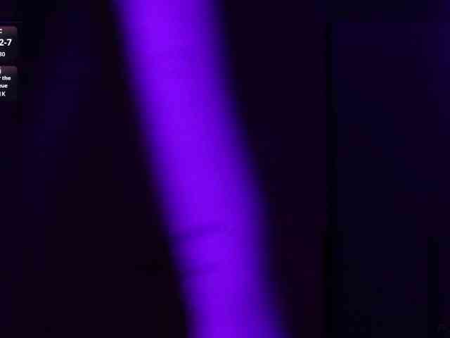 pollymorph webcam