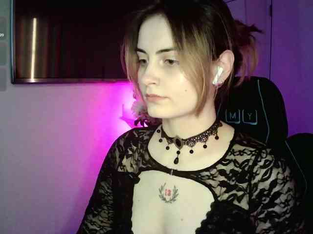 pollymorph webcam