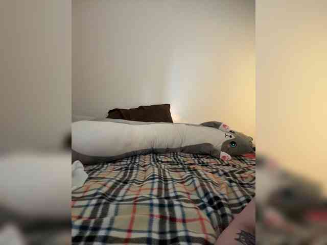 pollymorph webcam