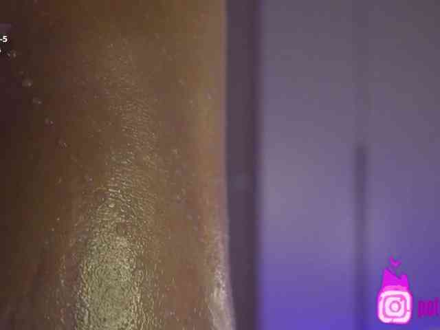 pollymorph webcam